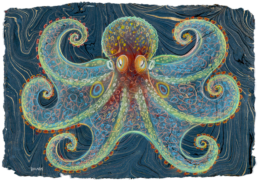 Deimatic Two-Spot Octopus - A pastel painting by underwater artist, Stephen Holman 2023. 