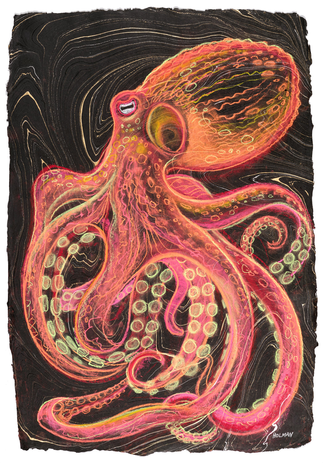 Giant Pacific Octopus - A painting by underwater artist, Stephen Holman 2023. 