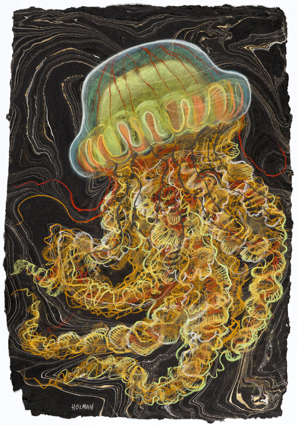 Sea Nettle Jelly. A pastel painting by underwater artist, Stephen Holman 2023. 